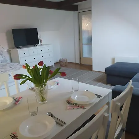 Dora Apartman Balatonszarszo Exterior photo