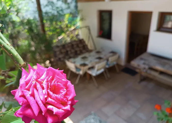 Dora Apartman
